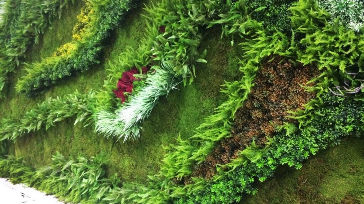 Yapay dikey bahçe – mumyalanmış yosun