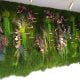 nisantasi-cafe-green-wall-moss